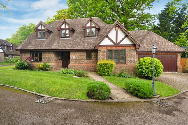 Thumbnail Detached house for sale in Coley Avenue, Woking