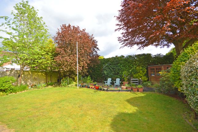 3, Oak Tree Close, Hampshire photo 4