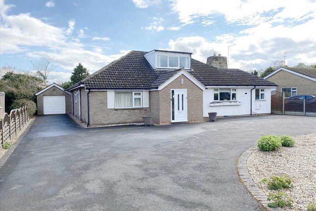 Thumbnail Bungalow for sale in Pinfold Lane, South Rauceby, Sleaford