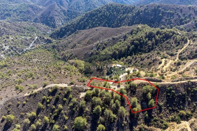 Thumbnail Land for sale in Dierona, Cyprus
