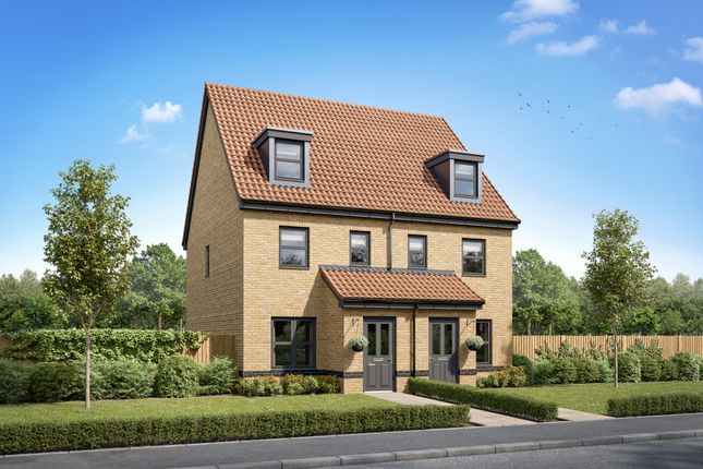 3-bed semi-detached on Maddison View, Cranbrook, £299,995