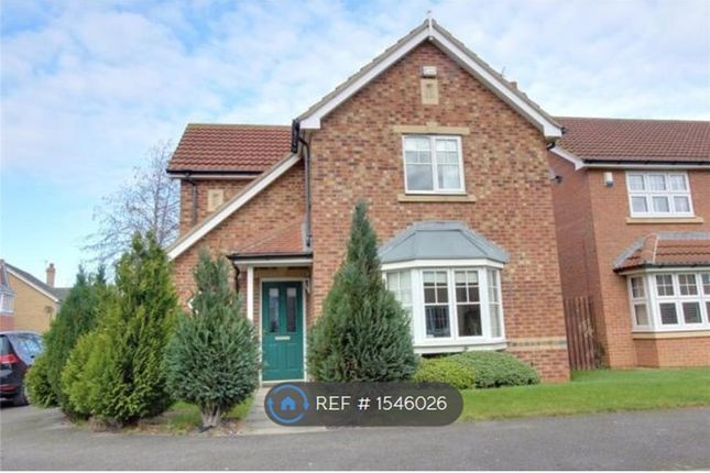 Thumbnail Detached house to rent in Whiteoaks Close, Redcar