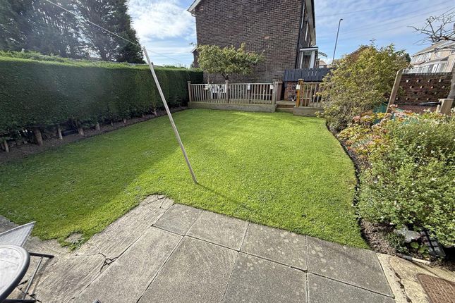 Back Garden.Jpg