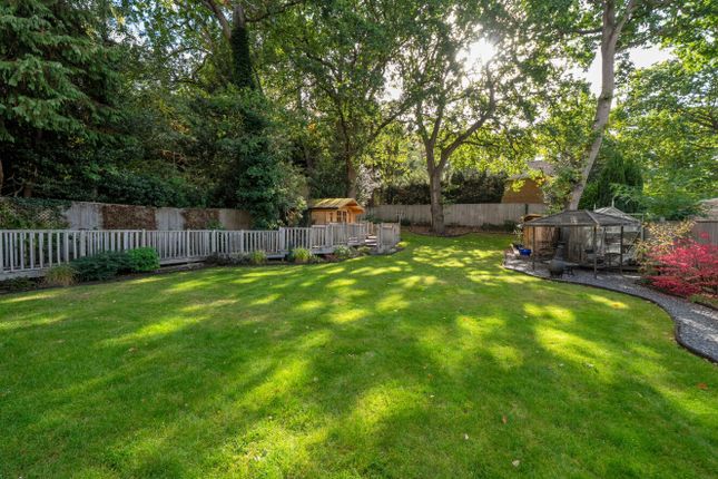 Brackendale Close, Surrey photo 4