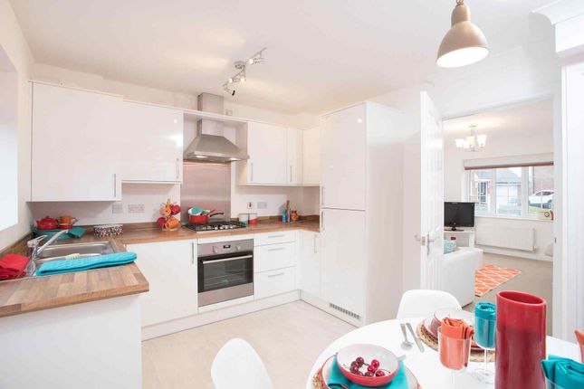 Terraced house for sale in "The Bell - The Paddocks - Shared Ownership" at Harvester Drive, Cottam, Preston