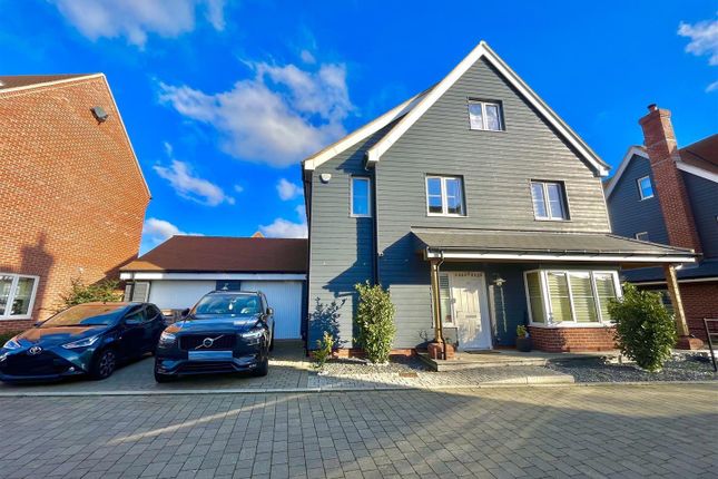 Thumbnail Detached house for sale in Robert Finch Crescent, Springfield, Chelmsford