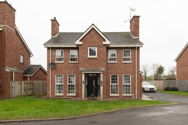 Thumbnail Detached house for sale in Demesne Link, Downpatrick