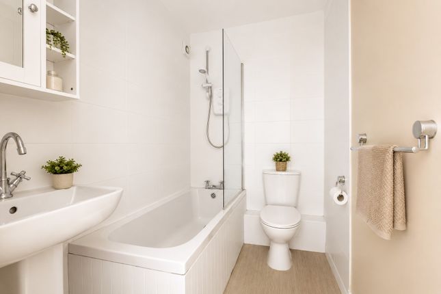 Flat 2, 15, Denmark Terrace, Brighton photo 4