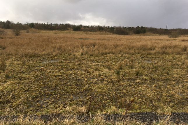Land for sale in Rhyd Y Blew, Blaenau Gwent, Ebbw Vale