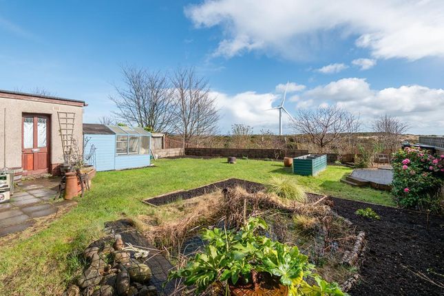 55, College Street, Leven photo 2