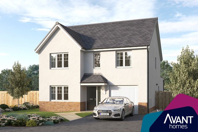 Thumbnail Detached house for sale in "The Tambrook" at St. Martin Crescent, Strathmartine, Dundee
