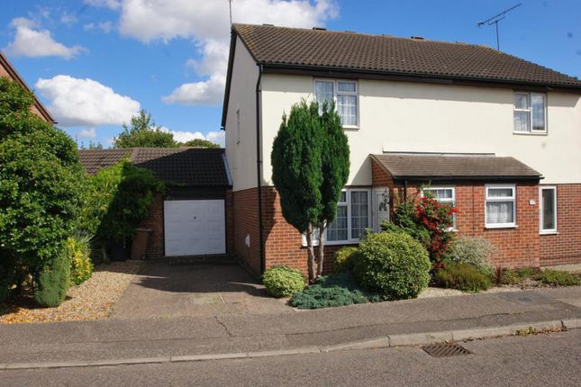 Thumbnail Semi-detached house to rent in Golding Thoroughfare, Chelmsford