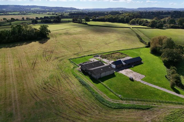 Lower Sandhills Farm, Fifehead Neville, Dorset photo 2