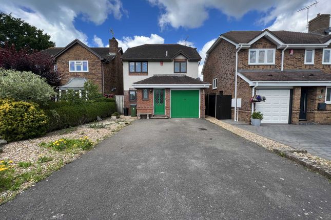 Detached house to rent in Juniper Close, Middleton-On-Sea