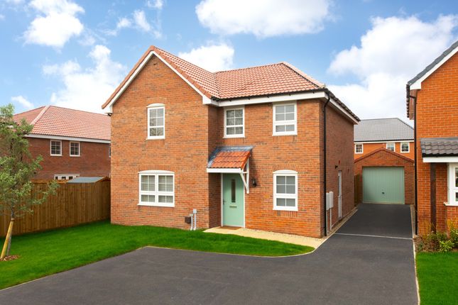 Thumbnail Detached house for sale in "Rowan" at Norwich Road, Swaffham