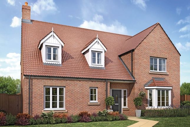 Thumbnail Detached house for sale in "The President - Plot 14" at The Meadows, Wynyard, Billingham