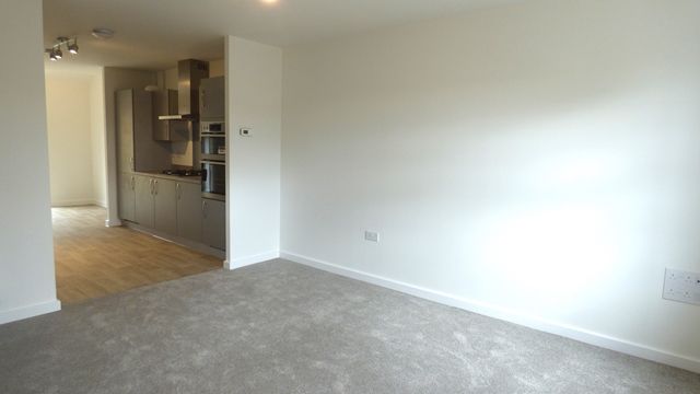 8, Ruby Red Row Devon, Exeter photo 4