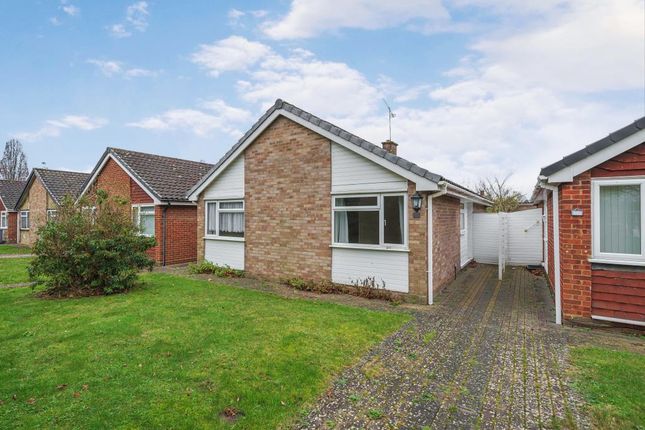 Detached bungalow to rent in Maidenhead, Berkshire