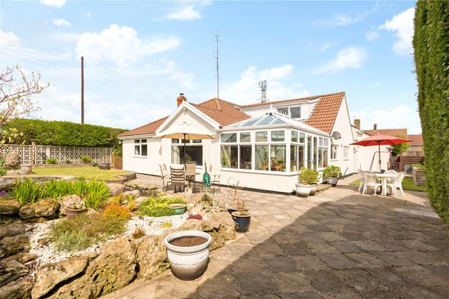 Thumbnail Bungalow for sale in Downs Road, Dundry, Bristol