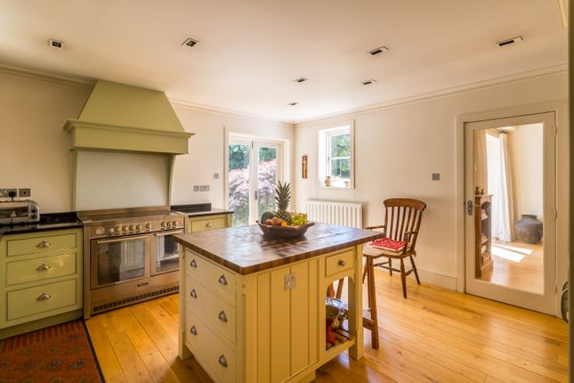 Suttondene, The South Border, Purley photo 4