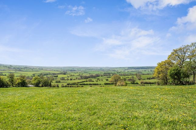 FAWFIELD BARN, Ridge Farm, BUXTON photo 4