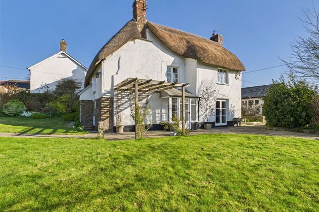 Thumbnail Cottage to rent in Okehampton, Devon