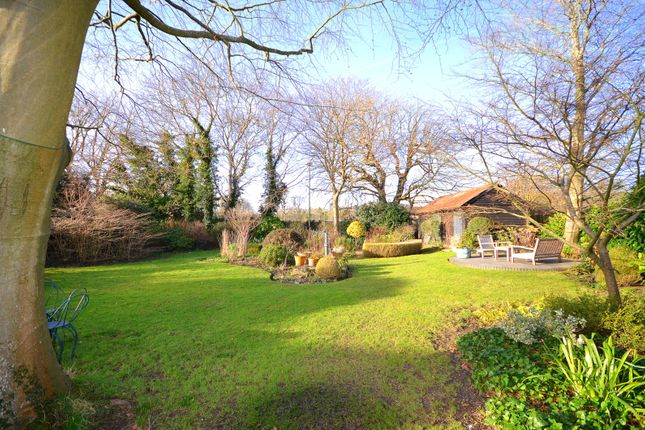 Semi-detached house for sale in The Green, Dunsfold