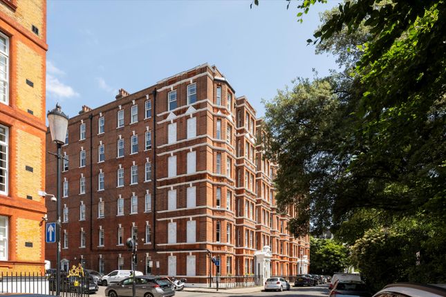 Cheyne Walk, London photo 2