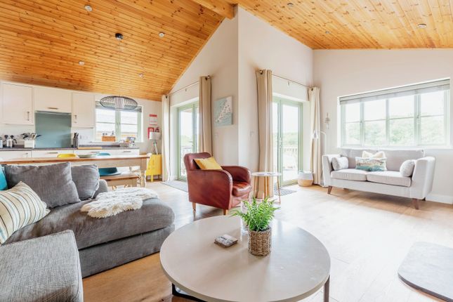 Peregrine Lodge, 10, Meadowside Farm, St. Columb photo 4