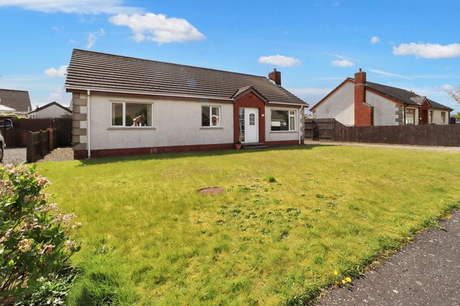 Thumbnail Detached bungalow for sale in 4 New Court, Portavogie, Newtownards, County Down