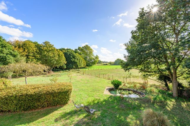 Dove River House Dross Lane, Diss photo 4