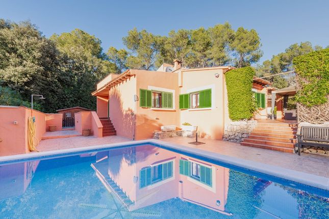 Detached house for sale in Spain, Mallorca, Sa Pobla, Son Toni