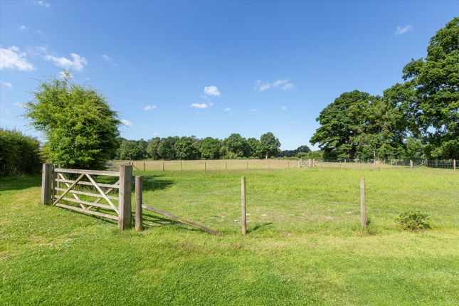 Detached house for sale in Milland, West Sussex