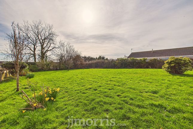 8 Jubilee Gardens, Narberth photo 2