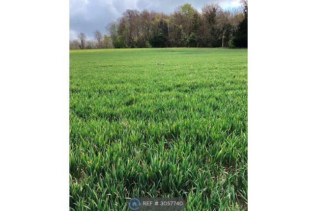 Millyard Road, Aylesham, Canterbury photo 3