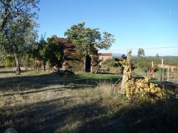 Thumbnail Farm for sale in Santo André Das Tojeiras, Santo André Das Tojeiras, Castelo Branco (City), Castelo Branco, Central Portugal