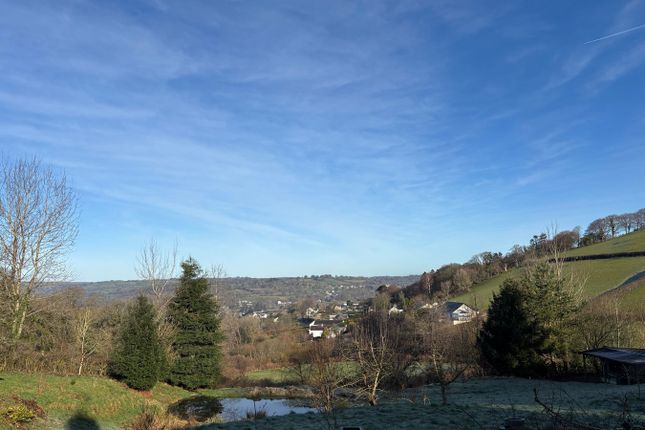 Glantren Fawr Cottage, Llanybydder photo 4