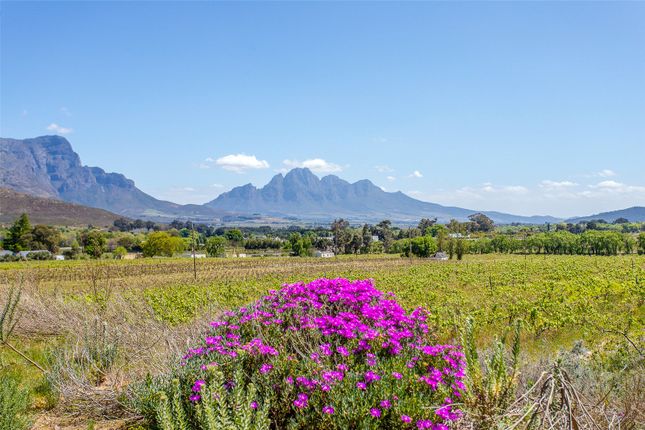 Thumbnail Land for sale in Goederust, Franschhoek Village, R45, Western Cape, 7690