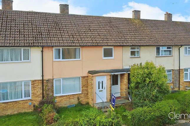 User_Edited_Photo-E767d481_User-Edited-369Fcdef-B2