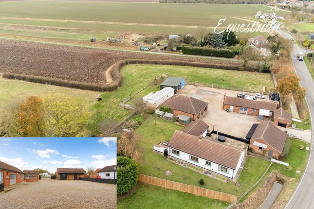 Thumbnail Equestrian property for sale in Main Road, Grainthorpe, Louth