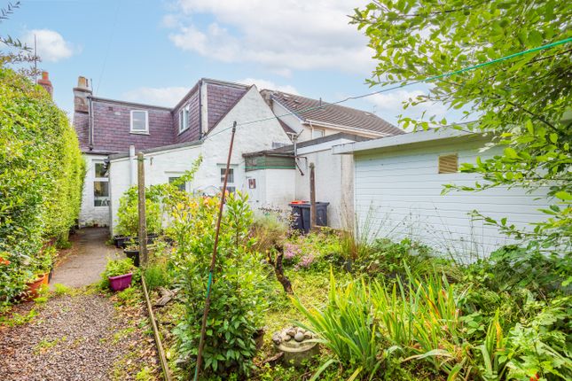 Rear View &amp; Shared Garden
