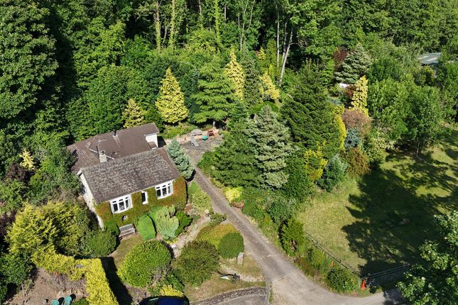 Dji_20250618170939_0800_D.Jpg