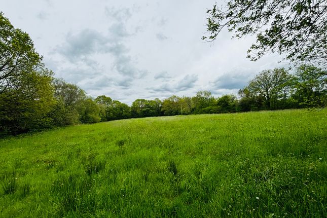 Pontbrengarreg, Llangeitho, Tregaron photo 3