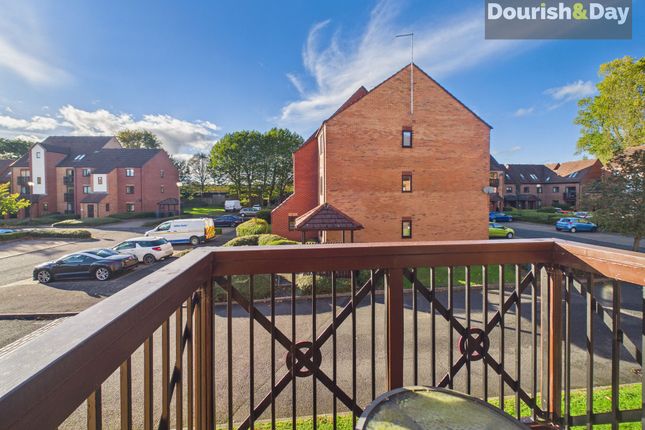 9 Peter James Court, Stafford photo 4