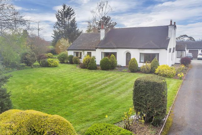 Detached bungalow for sale in Red Hall Lane, Penley, Wrexham