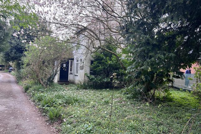 Alder Cottage, Mill Lane, Dover photo 2