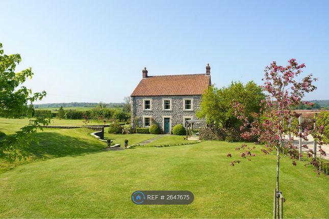 South Side Of The House/Side Door