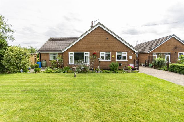 Thumbnail Detached bungalow for sale in Chesterfield Avenue, New Whittington, Chesterfield