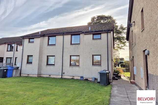 1000026788_1761297643_3272 (1).Jpg