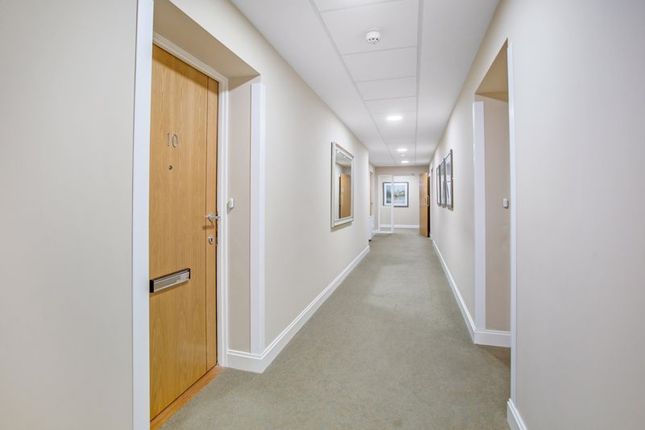 Hallway To Flat